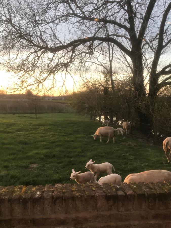 Kasteel Landgoed Crayenstein B&B Tricht Eksteriør billede
