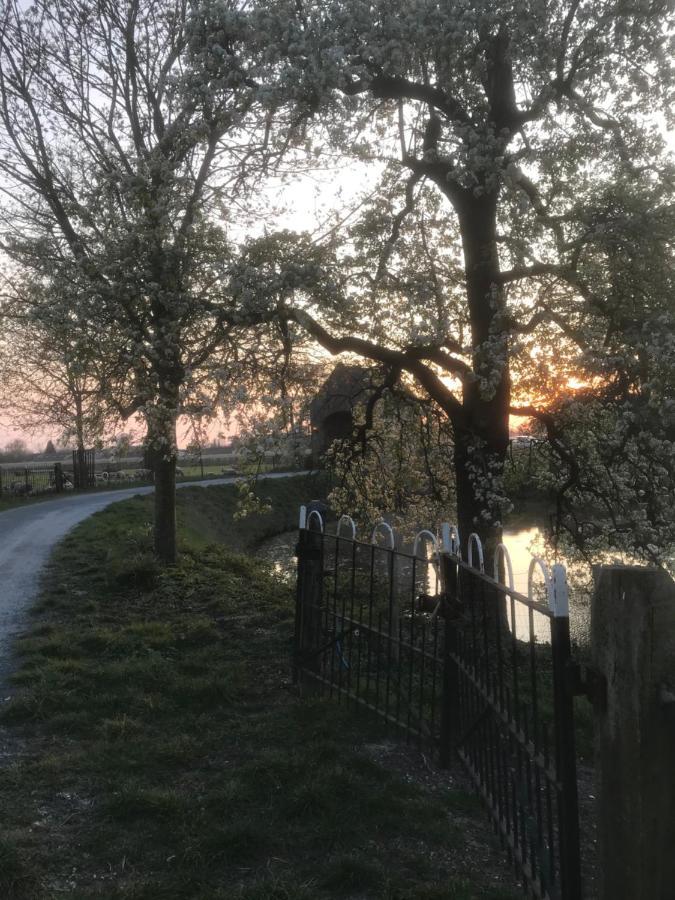 Kasteel Landgoed Crayenstein B&B Tricht Eksteriør billede
