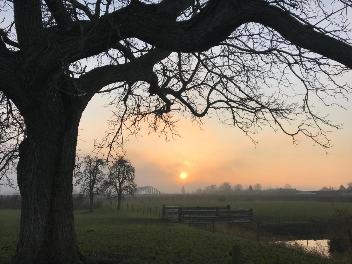 Kasteel Landgoed Crayenstein B&B Tricht Eksteriør billede